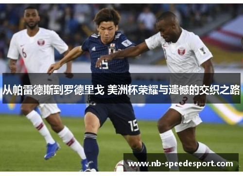 从帕雷德斯到罗德里戈 美洲杯荣耀与遗憾的交织之路