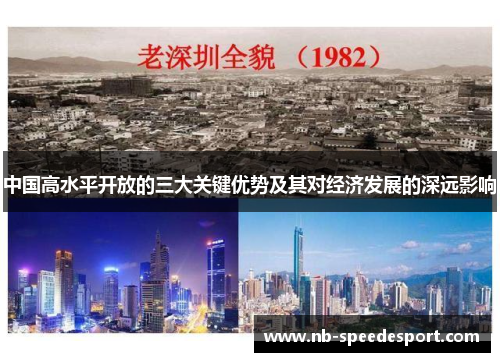 中国高水平开放的三大关键优势及其对经济发展的深远影响