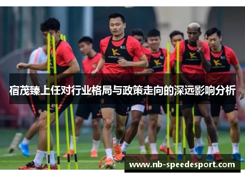 宿茂臻上任对行业格局与政策走向的深远影响分析