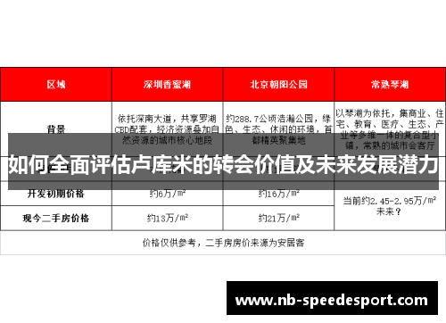 如何全面评估卢库米的转会价值及未来发展潜力